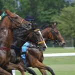 阪神ジュベナイルフィリーズずばり競馬予想！