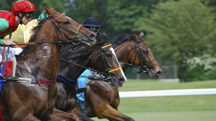 阪神ジュベナイルフィリーズずばり競馬予想！