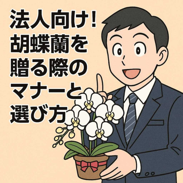 法人向け！胡蝶蘭を贈る際のマナーと選び方
